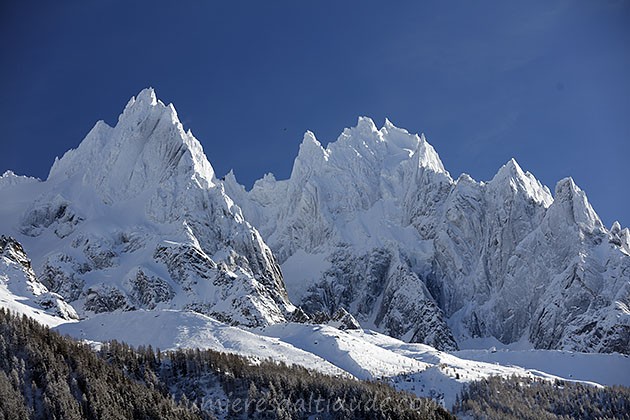 Les aiguilles poudrées