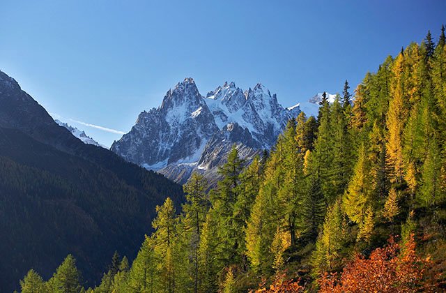 Autumn on the way to les Chserys