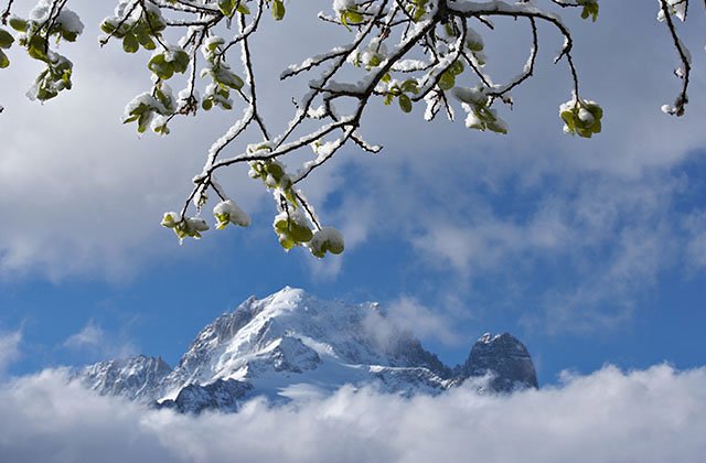 Les hesitations du printemps...