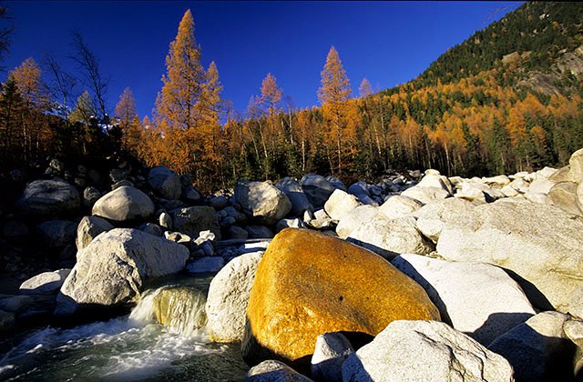 The golden rock of Arveyron river