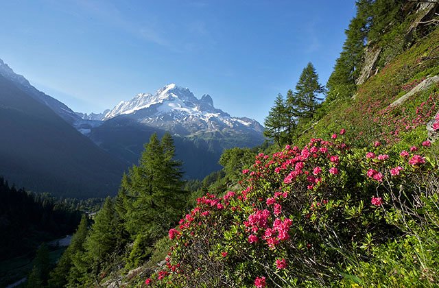 La verte et son bouquet