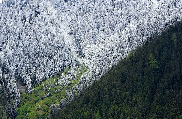 Entre hiver et printemps