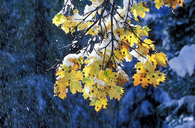 Dernieres lueurs d'automne