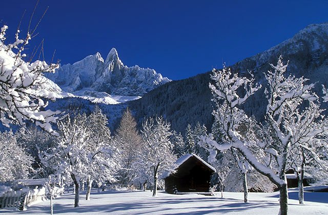 Le village des bois