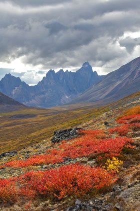 Tombstone mountains